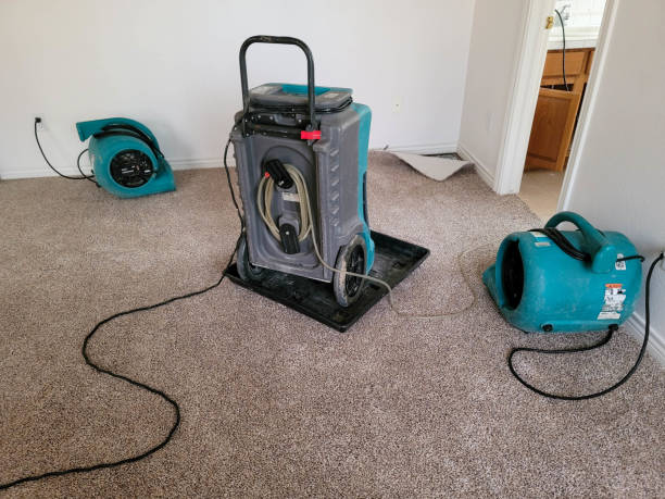 Best Water damage restoration near me  in Hubbard, TX