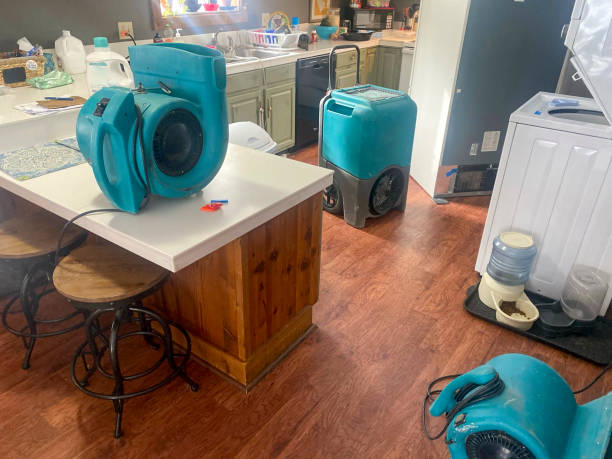 Best Local water damage restoration  in Hubbard, TX
