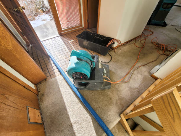 Best Water damage restoration near me  in Hubbard, TX