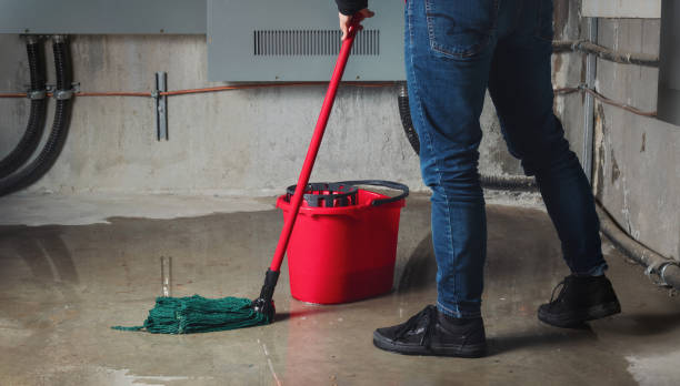 Best Flood restoration services  in Hubbard, TX