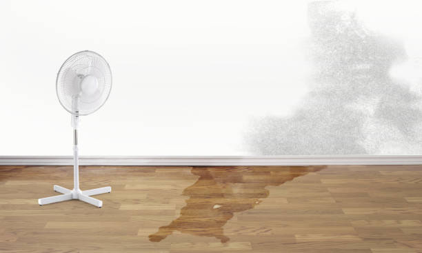  Hubbard, TX Water damage restoration Pros